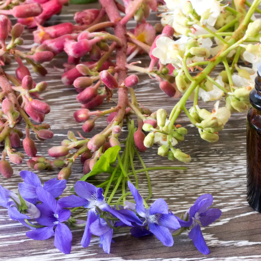 Methods 8 Design sans titre | SHIVA RAZAGHI, Psychothérapeute Coach de vie